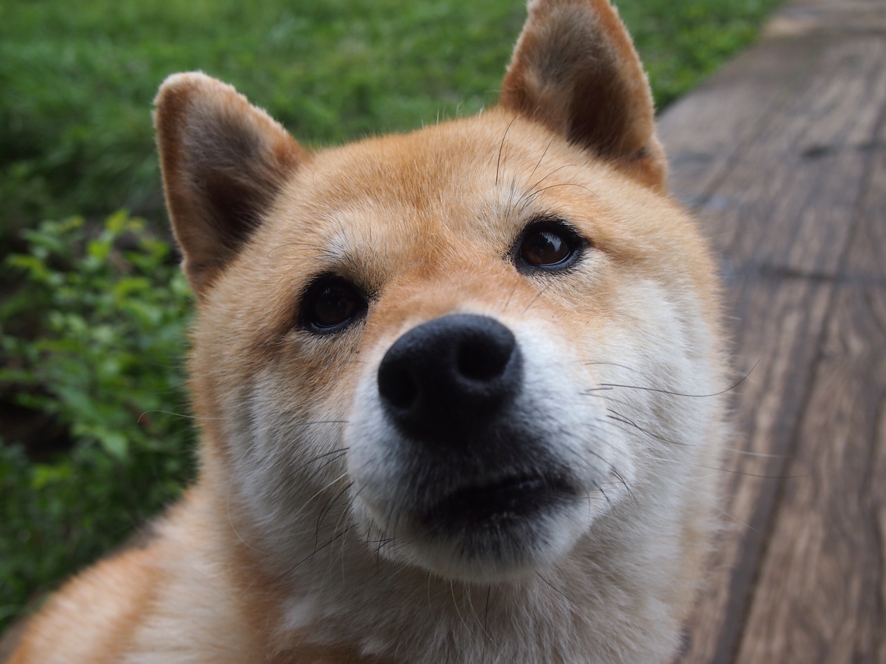 九游下载安装-“逆境中的逐光者”——那些铸就传奇的车手故事，励志车手故事